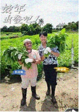 圆桌派